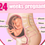 Thai nhi 24 tuan tuoi1 150x150 - Tiêm phòng khi mang thai điều cần thiết đối với bà bầu