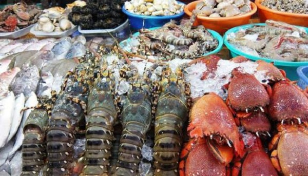 kham pha khu hai san vung tau 1 - Tham quan và khám phá khu chợ hải sản Vũng Tàu